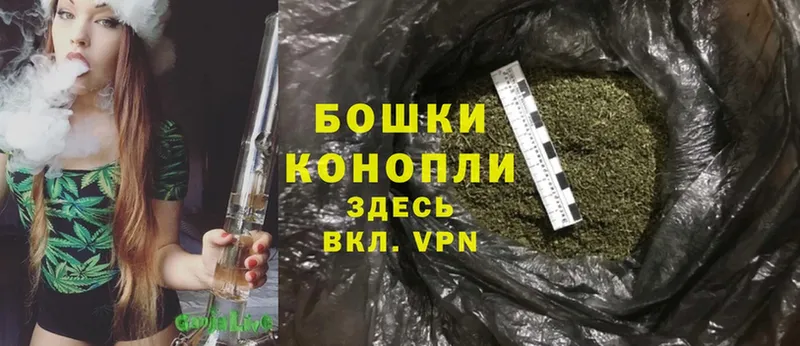 МАРИХУАНА SATIVA & INDICA  OMG онион  Изобильный 